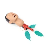 Airway Management Trainer, Light Skin