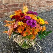 Fall Sunshine