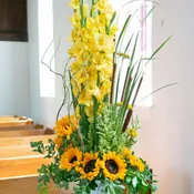 Yellow 80-12-22