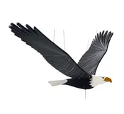 American Bald Eagle BIrd Flying Mobile