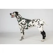 Back On Track Dixie Dog Hock Brace - Therapeutic Joint Support for Active Dogs - Multiple Sizes