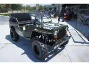 Ice Bear Thunderbird Jeep 125cc