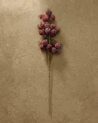 21" Iced Burgundy Berry Pod Spray