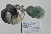 Ammonite Black and Gray Morocco A-77-1; Green Calcite Mexico A-77-2  Set of 2
