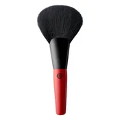 Fan Brush