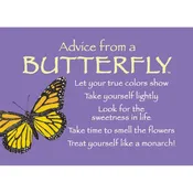 Advice from a Butterfly Magnet