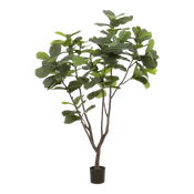7' Fiddle Leaf Tree