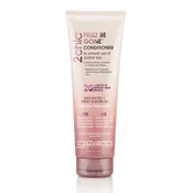 2chic® FRIZZ BE GONE™ CONDITIONER - 2 Sizes