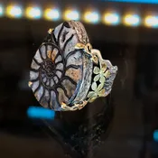 Ammonite Ring