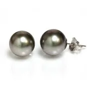 12-13mm Tahitian Pearl Stud Earrings