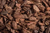 Bark