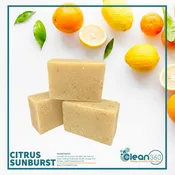 Citrus Sunburst Bar Soap (Case)
