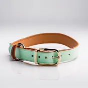 Elegant Dog Collar