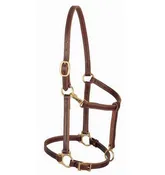 3/4" Leather Weanling Halter