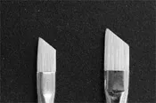 Frozen Section Brushes — Pathology Innovations