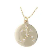 Aquarius Zodiac Sign Necklace