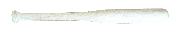 18” Mini Bats