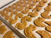 Fresh-Baked Cheese Quackers for Dogs — Spike's Treats