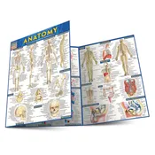 QuickStudy | Anatomy Laminated Study Guide