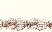 Acorn Border Place Cards