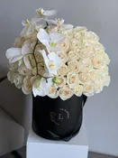 Classic White - 50 white roses in a box