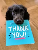 Big Dog Sponsorship — Therapy Partners