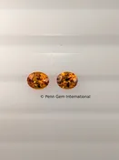 Spessartite Garnet Lot 404 — Penn Gem International