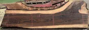 36295 Highly Figured Bastogne Walnut Slab 171"x50"-35"x3 3/8" May 2025