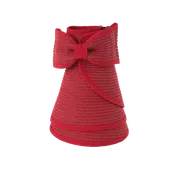 Bow Visor