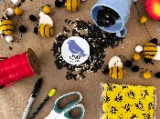 Book &amp;amp; Craft: Build a Bee Home with Chirp | June 18th, 2022
