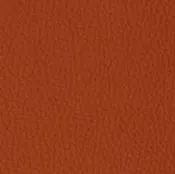 22 Longlife Rustika Indio Leather Swatch