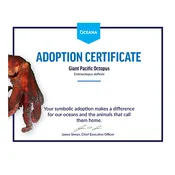 Giant Pacific Octopus Certificate Adoption