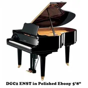 DGC2 ENST Yamaha Disklavier