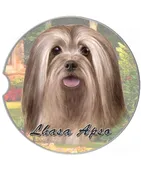 231-23 Lhasa Apso Car Coaster