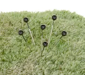 Boutonniere Pins, 1.5 Inch, Black