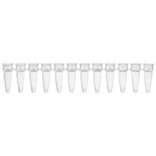 0.2mL 12-Strip Tubes, No Caps, Natural; Box of 80