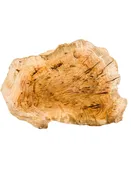 Australian Yellow Box Burl Cap/Bowl Blank - 12" x 9" x 4.25" WE1156