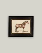 A Bay Horse Framed Antique Art, 2 sizes