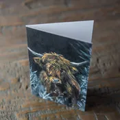 Buffalo Stationery Set Of 4 By Madison Holtz Butler