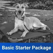Basic Obedience Starter Package
