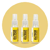 All-Purpose Bug Spray