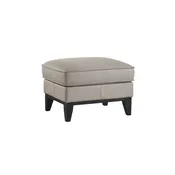 Aaron - Leather Ottoman - Mist Gray