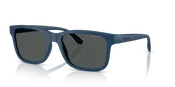 AN4378