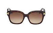 Tom Ford Icon Collection Sunglasses – Square Dark Havana — Lyons Optometry