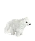 Arctic Fox