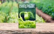 Growing Your Own Living Foods - Brian Hetrich