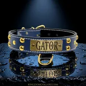 1.5" Wide Personalized Studded Italian Leather Dog Collar | Custom Name Plate