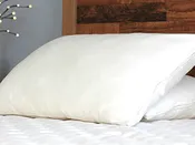 Savvy Rest Organic Kapok Pillow