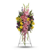 Rainbow Of Remembrance Spray