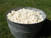Shredded Organic Latex